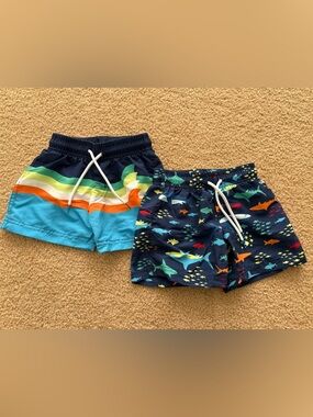 Boys Navy Shark & Teal Stripe Swim Shorts Set - Multicolor